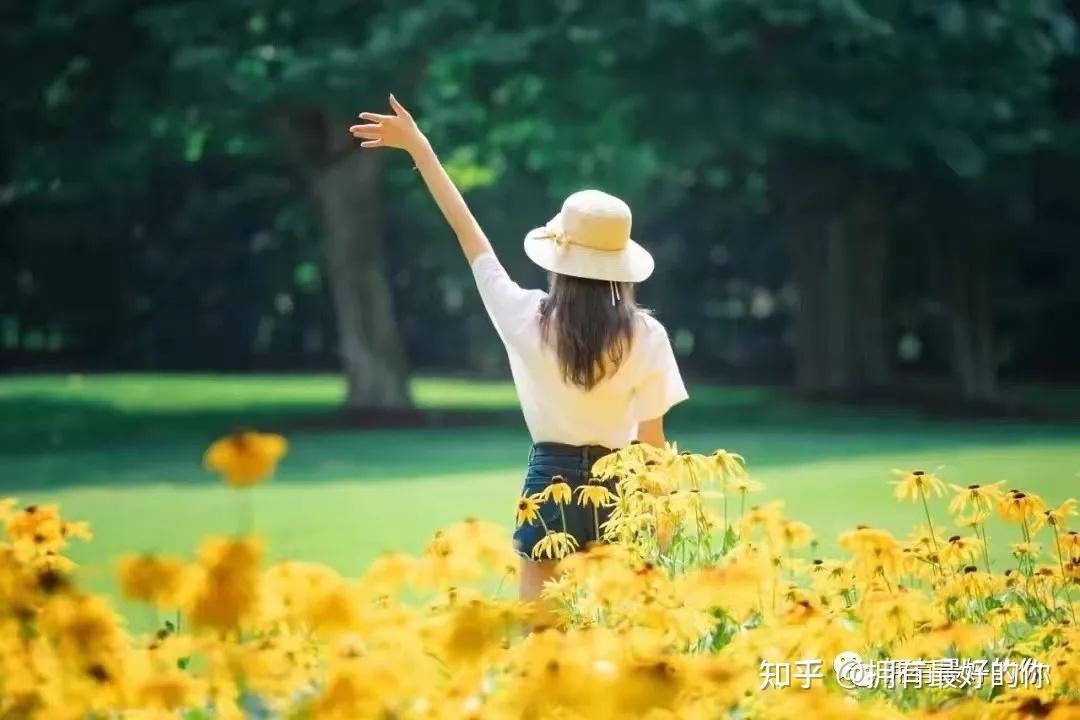 香港生力啤(00236)股价大幅上涨30%：盈利回暖，香港传统啤酒企业成功破局?
