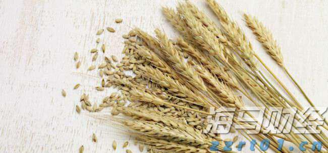 上海市联合开展“远离传销 守护幸福”2023禁传宣传季活动